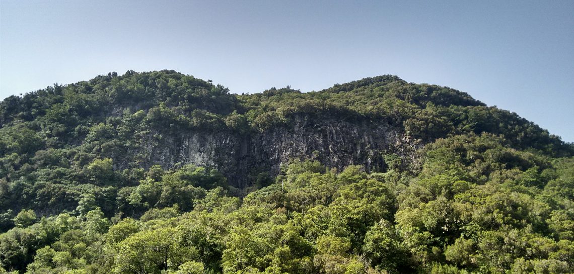 Our connection with nature